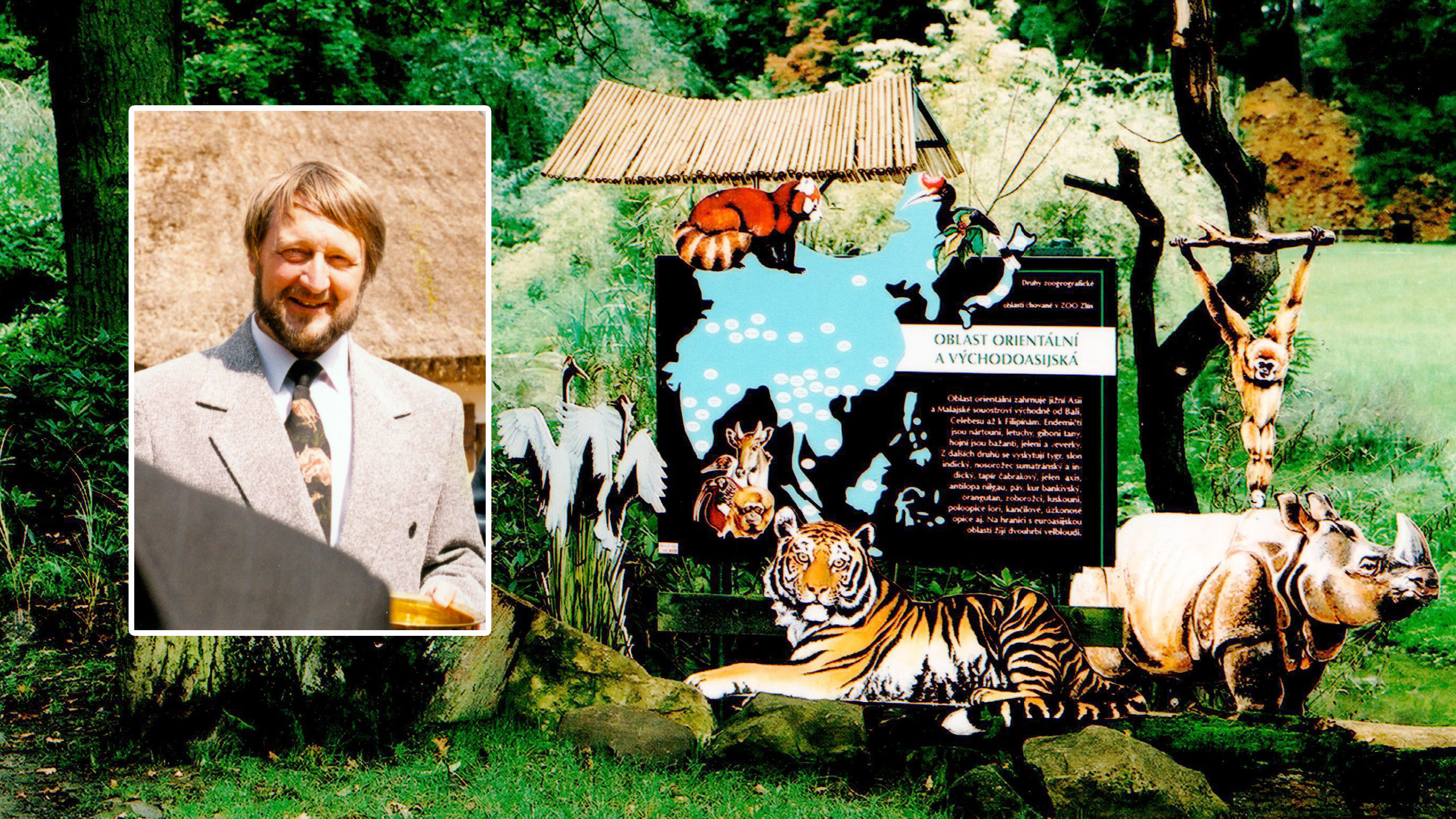 Zoo of continents